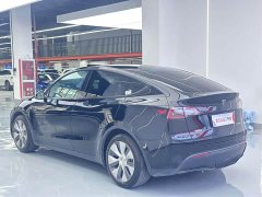 Tesla Model Y Rear-Wheel Drive - ფოტო 7