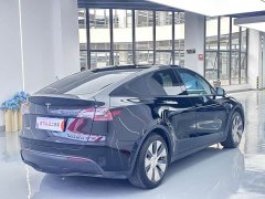 Tesla Model Y Rear-Wheel Drive - ფოტო 9