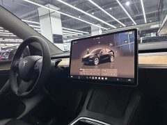 Tesla Model Y Long Range All-Wheel Drive - ფოტო 12