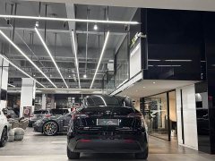 Tesla Model Y Long Range All-Wheel Drive - ფოტო 16