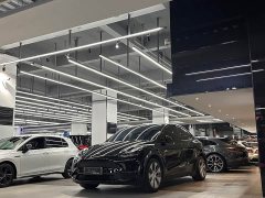Tesla Model Y Long Range All-Wheel Drive - ფოტო 3