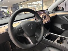 Tesla Model Y Long Range All-Wheel Drive - ფოტო 8