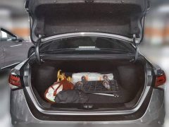 Nissan Sylphy 1.6L CVT Sincere Edition - ფოტო 20