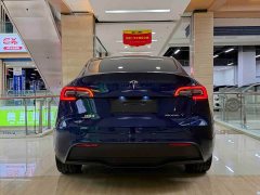 Tesla Model Y Long Range All-Wheel Drive - photo 11