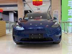 Tesla Model Y Long Range All-Wheel Drive - photo 2