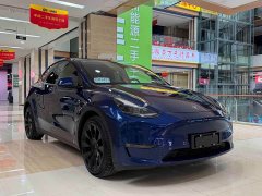 Tesla Model Y Long Range All-Wheel Drive - photo 3