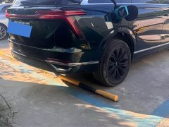 Great Wall WEY Blue Mountain Four-Wheel Drive Extended Range Version - ფოტო 4