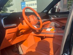 Great Wall WEY Blue Mountain Four-Wheel Drive Extended Range Version - ფოტო 6