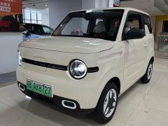 Geely Panda Mini 210km Vitality Edition - ფოტო 1