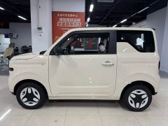 Geely Panda Mini 210km Vitality Edition - ფოტო 2