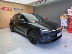 Tesla Model Y Rear-Wheel Drive - ფოტო 3