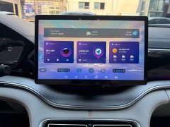 BYD Song Plus New Energy DM-i 110KM Flagship Plus - ფოტო 20