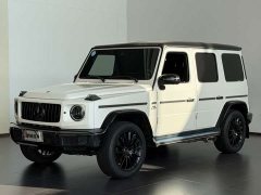 Mercedes-Benz G-Class G 400 d - ფოტო 1