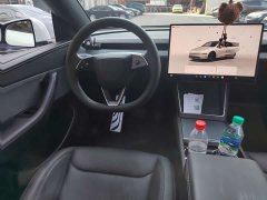 Tesla Model Y Rear-Wheel Drive - ფოტო 11