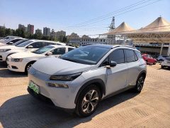 GAC AION V 2021 Plus 70 Smart Tech Edition LFP Battery - ფოტო 1