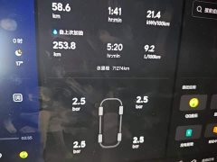 Li Auto L9 Max - ფოტო 13