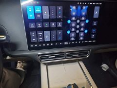 Li Auto L9 Max - ფოტო 14