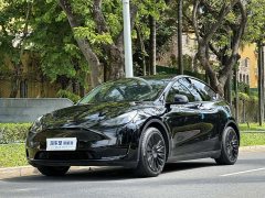 Tesla Model Y Rear-Wheel Drive - ფოტო 1