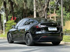 Tesla Model Y Rear-Wheel Drive - ფოტო 3