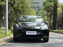 Tesla Model Y Rear-Wheel Drive - ფოტო 4