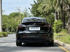 Tesla Model Y Rear-Wheel Drive - ფოტო 5