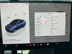 Tesla Model Y Rear-Wheel Drive - ფოტო 9