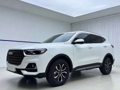 Haval H6 National Trend Edition 1.5T Automatic Urban Version - ფოტო 1