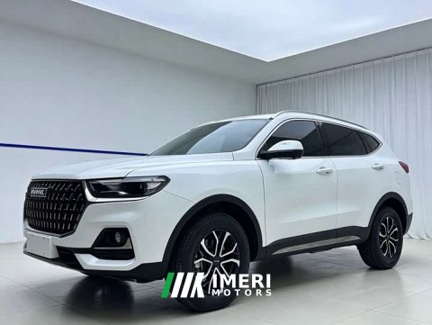 2023 Haval H6 National Trend Edition 1.5T Automatic Urban Version - ავტომობილი ჩინეთიდან