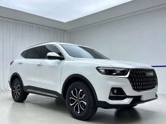 Haval H6 National Trend Edition 1.5T Automatic Urban Version - ფოტო 3