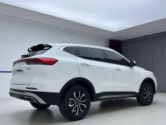 Haval H6 National Trend Edition 1.5T Automatic Urban Version - ფოტო 6