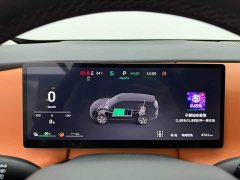Great Wall WEY Blue Mountain 2026 Intelligent Advanced Edition Four-Wheel Drive Max - ფოტო 11