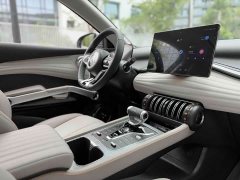 BYD Yuan Plus Glory Edition 510KM Transcend - ფოტო 13