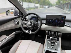 BYD Yuan Plus Glory Edition 510KM Transcend - ფოტო 19