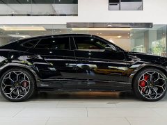 Lamborghini Urus 2022 4.0T V8 Performante - ფოტო 20