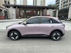 Geely Xing Yuan 310km Dream Edition - ფოტო 3