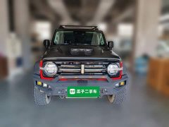 Tank 300 Off-Road Edition 2.0T Challenger - ფოტო 2