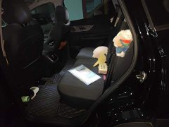 Chery Tiggo 8 PLUS 290TGDI DCT Luxury - ფოტო 13