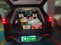 Chery Tiggo 8 PLUS 290TGDI DCT Luxury - ფოტო 15