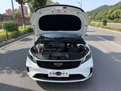 Geely Binrui 1.4T CVT Asian Games Edition - ფოტო 8