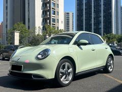 ORA Good Cat 401km Standard Range Luxury LFP - ფოტო 1