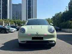 ORA Good Cat 401km Standard Range Luxury LFP - ფოტო 2