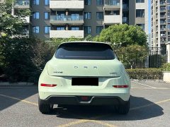 ORA Good Cat 401km Standard Range Luxury LFP - ფოტო 6