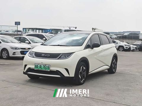 2023 BYD Dolphin 405km Fashion Edition - ავტომობილი ჩინეთიდან