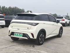 BYD Dolphin 405km Fashion Edition - ფოტო 5
