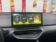 Geely Geometry C 2020 Select Range 550KM C Pro - ფოტო 9