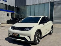 BYD Dolphin 2025 420km Freedom Edition - ფოტო 1
