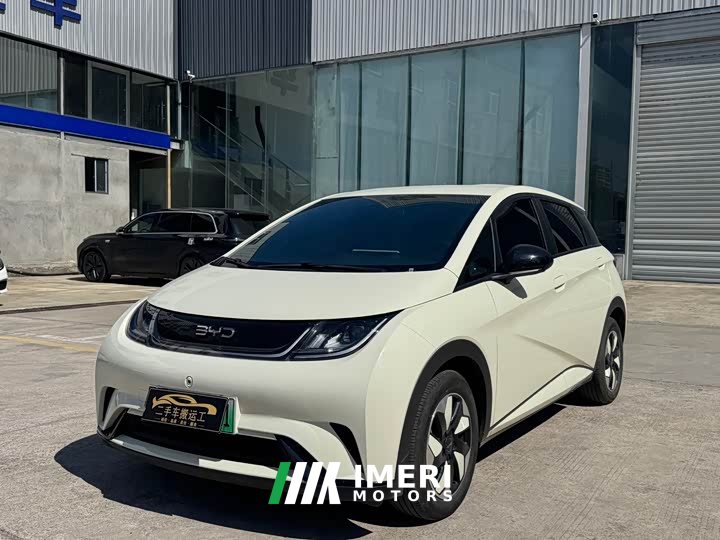 BYD Dolphin 420km Freedom Edition