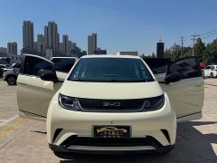 BYD Dolphin 2025 420km Freedom Edition - ფოტო 15