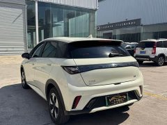 BYD Dolphin 2025 420km Freedom Edition - ფოტო 9