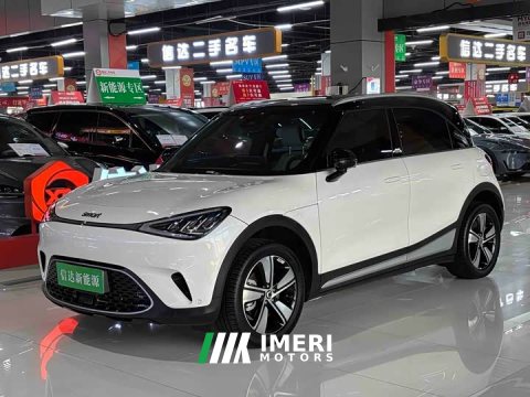 2025 Smart Spirit #1 2024 Agile Standard Edition - ავტომობილი ჩინეთიდან